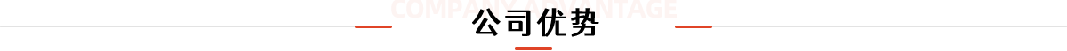 公司優(yōu)勢(shì)